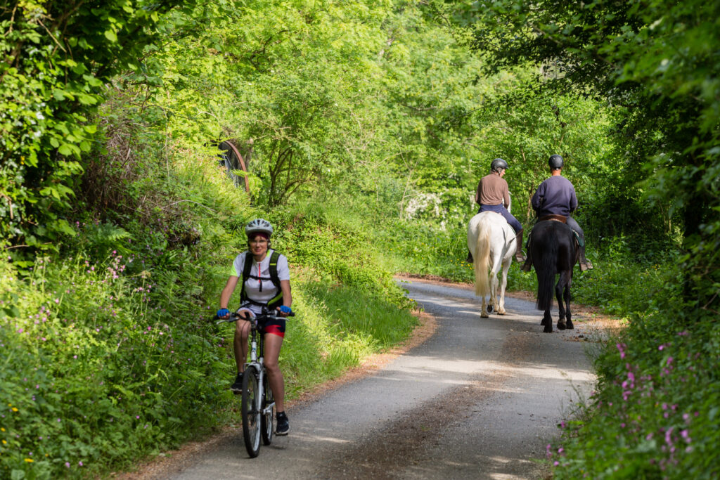 balades vélo cheval